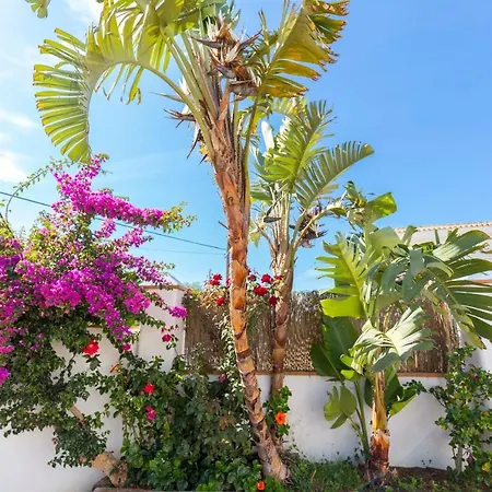 Holiday home La Ballena Azul Conil Cadiz
